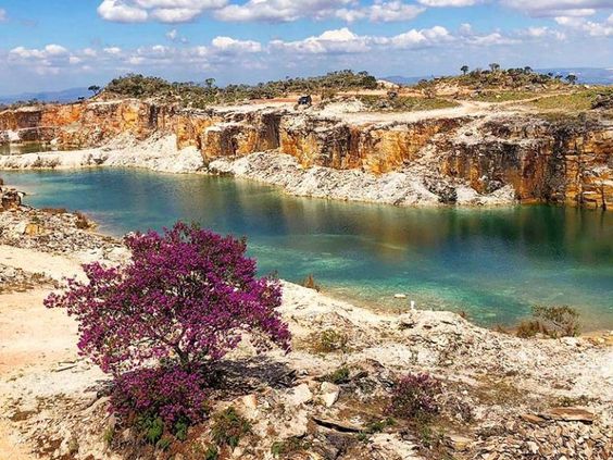 Imagem de Capitólio onde fica uma árvore de folhas roxas próximo ao Lago de Furnas.