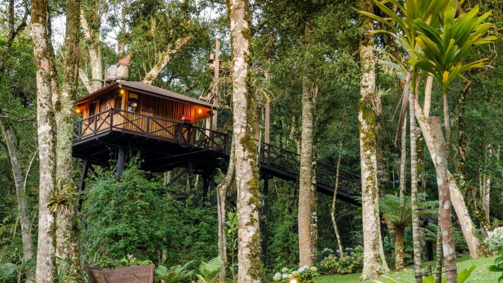 Casa na árvore em Monte Verde