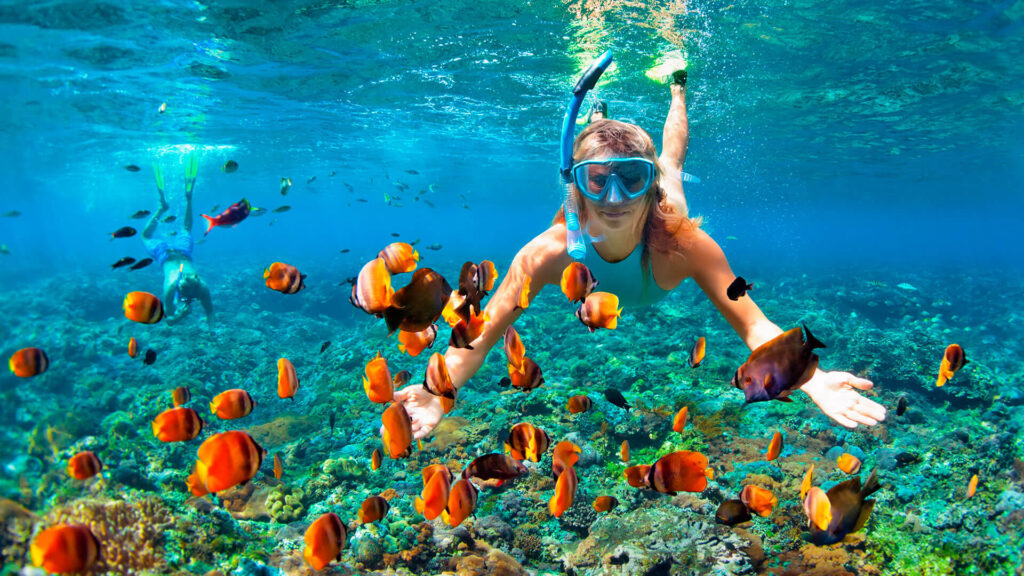 Mulher branca mergulha com peixes laranjas em ilha Fernando de Noronha