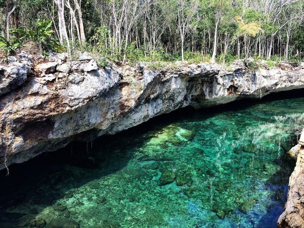 Cenote de águas cristalinas cercada por uma floresta exuberante em praia del carmen