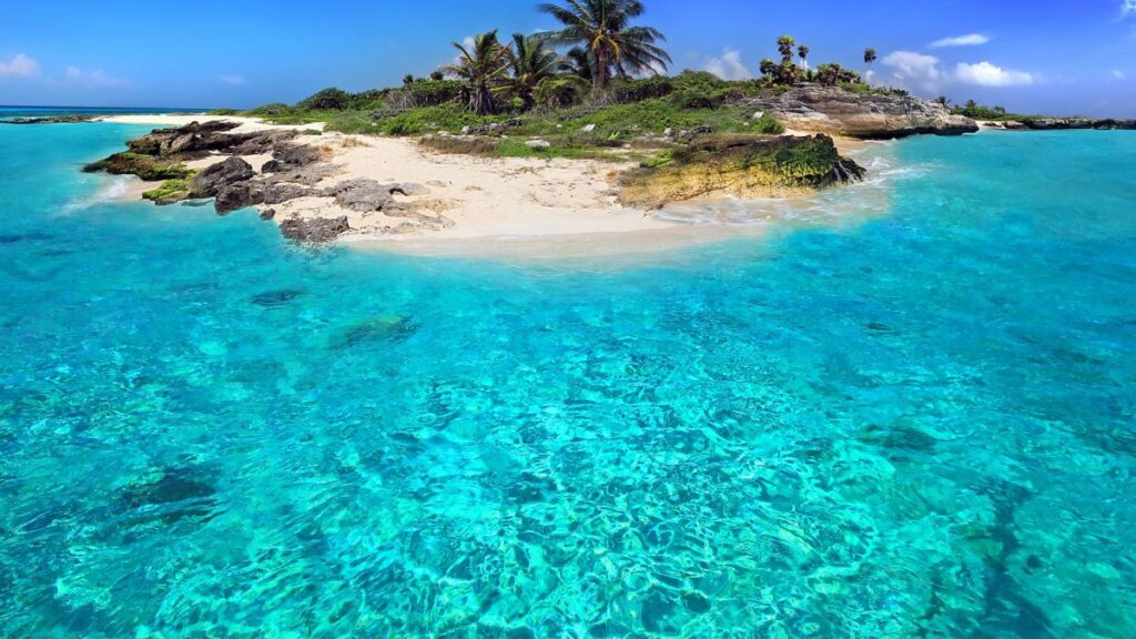 Água azul de uma pequena faixa de área, com pedras e coqueiros da praia del carmen