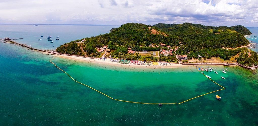 Visão panorâmica de cima com o mar esverdeado, uma pequena praia com cadeiras coloridas e muitas árvores.