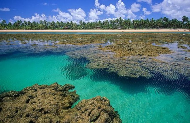 Foto próximo a uma psicina natural de água verde clara cristalina e os corais que fazem ela.