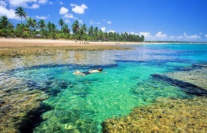 Piscina natural com água cristalina e rapaz branco nadando, ao fundo areia de praia cercada por coqueiros