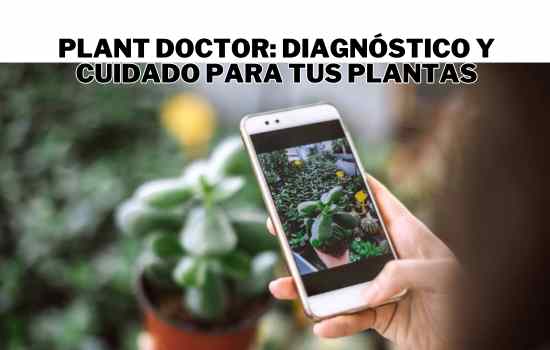 lant Doctor: La App Definitiva para el Cuidado de tus Plantas