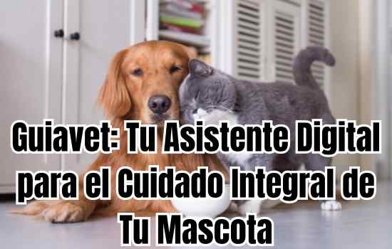 Guiavet: Tu Asistente Digital para el Cuidado Integral de Tu Mascota