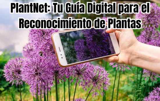 PlantNet: Tu Guía Digital para el Reconocimiento de Plantas