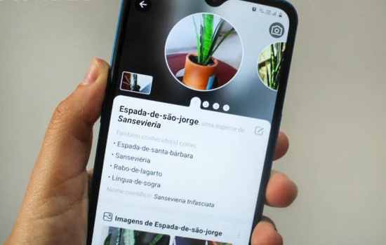 Plant Parent: Tu Asistente Personal para el Cuidado de las Plantas